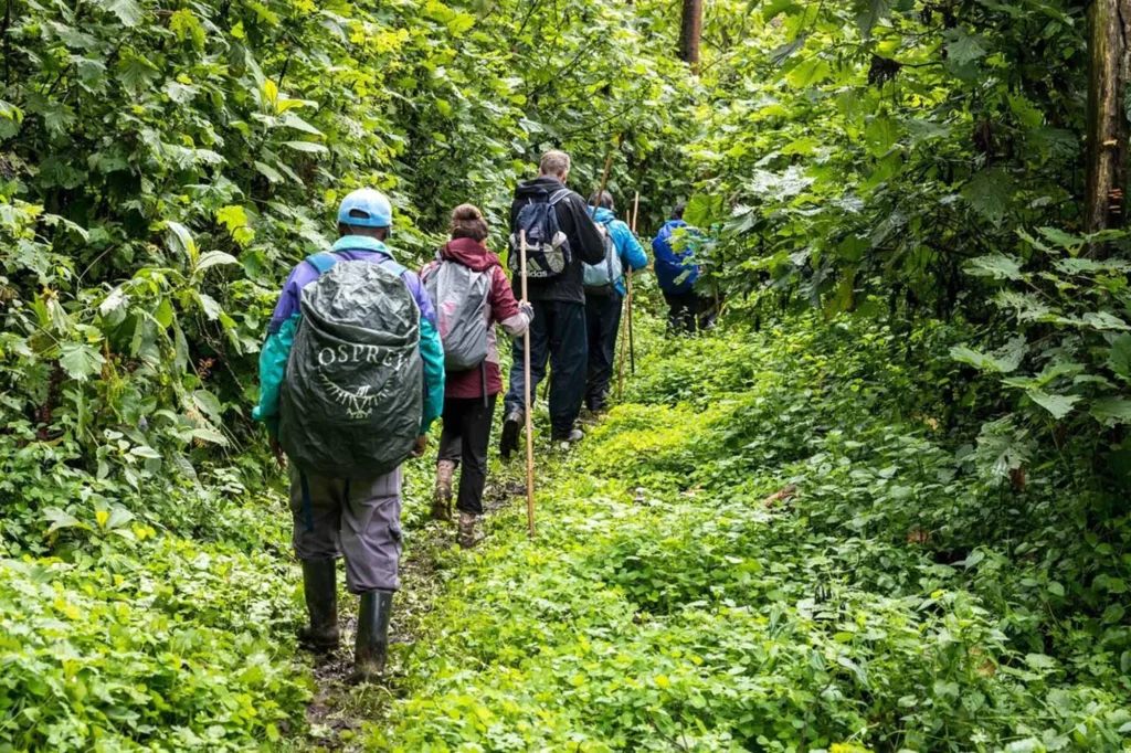 3 Day Uganda Gorilla Trekking Tour