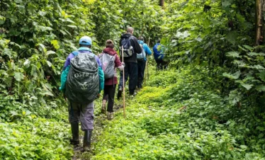 3 Day Uganda Gorilla Trekking Tour