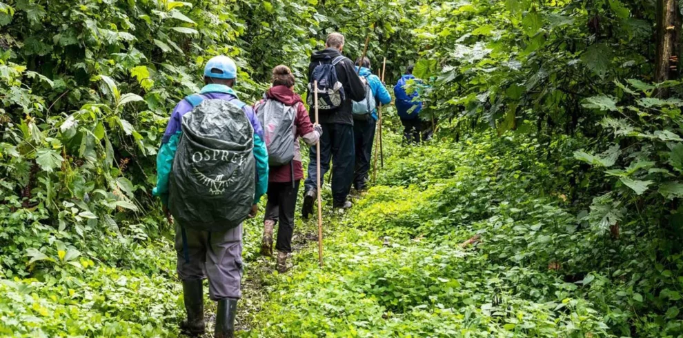 3 Day Uganda Gorilla Trekking Tour