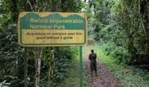 Bwindi Impenetrable National Park Uganda
