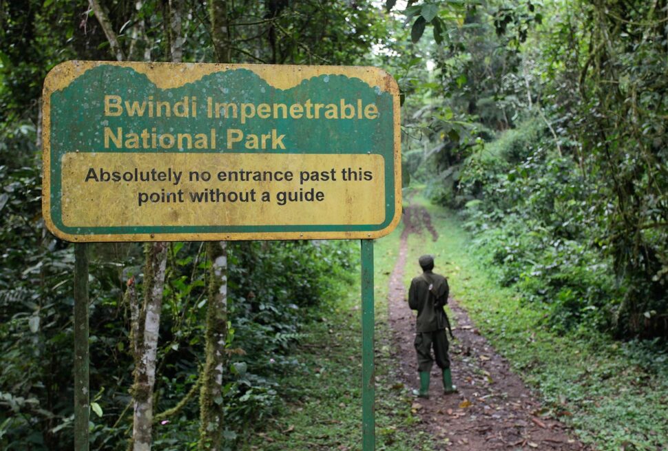 Bwindi Impenetrable National Park