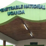 Bwindi National Park - Best Gorilla Trekking Uganda