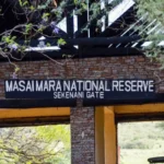 Maasai Mara National Reserve, Kenya - Best Gorilla Trekking Uganda