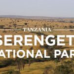 Serengeti National Park, Tanzania - Best Gorilla Trekking Uganda