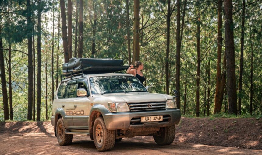 Best car rental for gorilla trekking Uganda